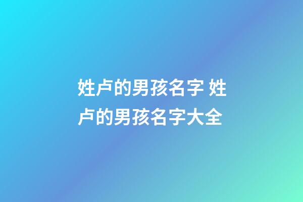 姓卢的男孩名字 姓卢的男孩名字大全